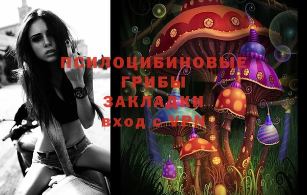 молекула духа Бородино