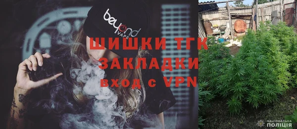 молекула духа Бородино