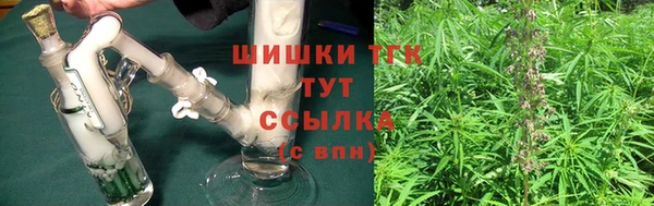 молекула духа Бородино