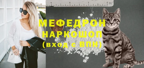 молекула духа Бородино