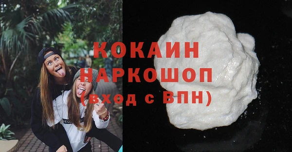 молекула духа Бородино