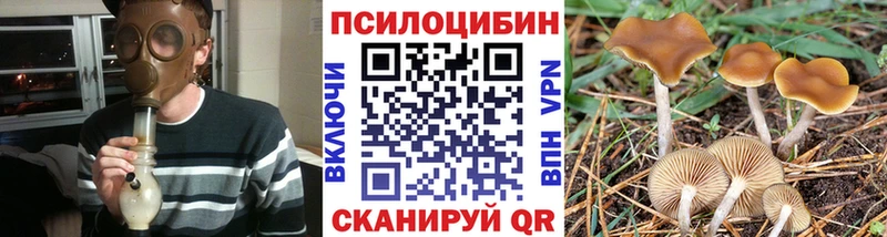 дарнет шоп  Можайск  Псилоцибиновые грибы мухоморы 