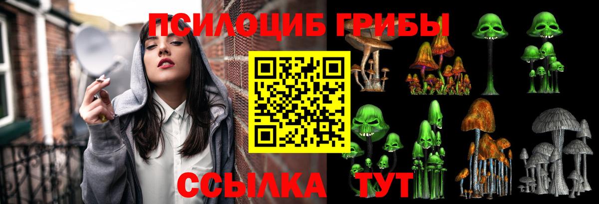 Псилоцибиновые грибы ЛСД  Псилоцибиновые грибы ЛСД  Можайск  Вход с VPN 